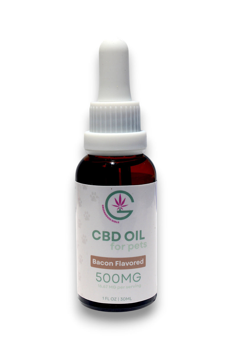 Greenhouse Girls 500mg bacon-flavored CBD oil tincture for dogs and cats in an amber glass bottle with a dropper.