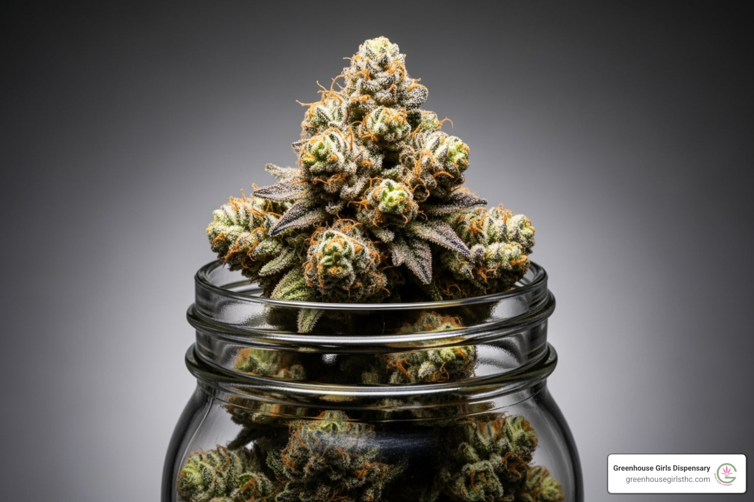 Decoding THCa Flower: Your Guide to This Trending Cannabinoid