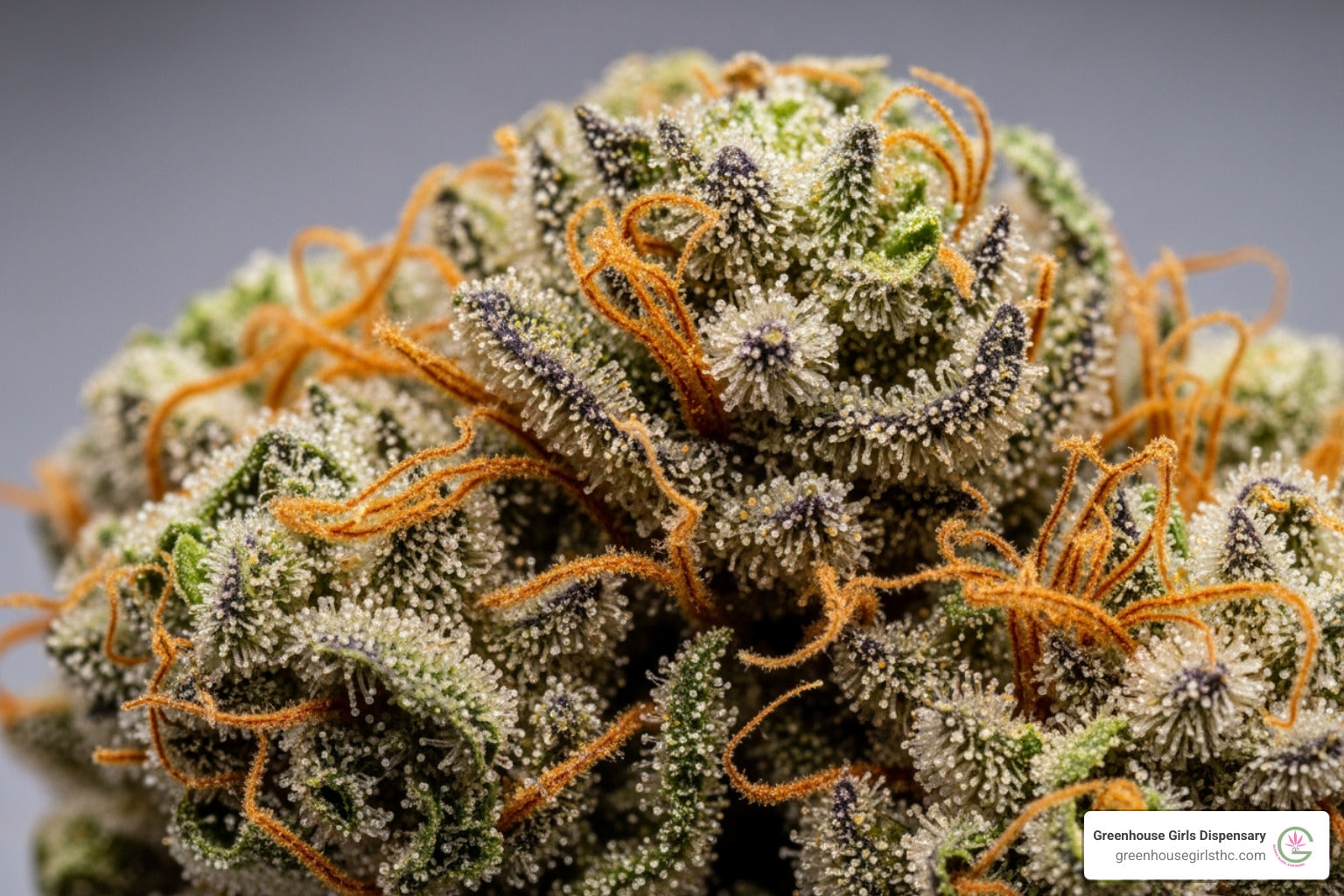 The Great THCA Divide: Where It's Legal and Where It's Not