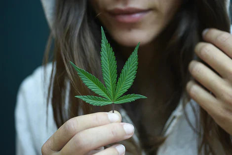 Everything you need to know about Pet CBD