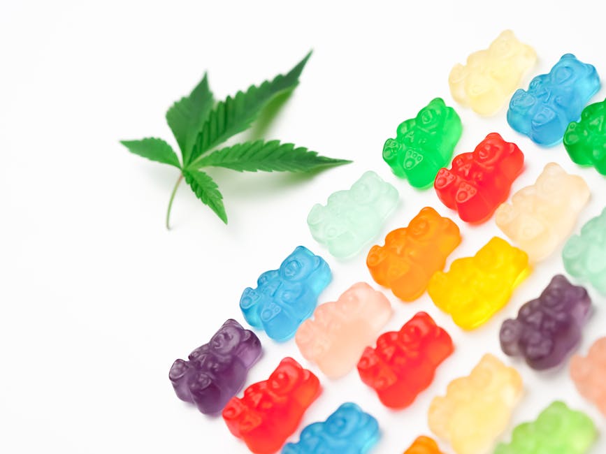 Finding Your Bliss: The Top Legal Edibles for Every Taste