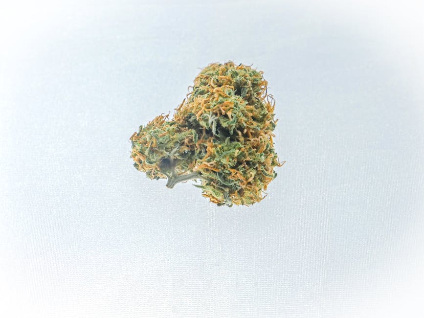 Unwind Without the High: Top CBD Flower with Zero THC