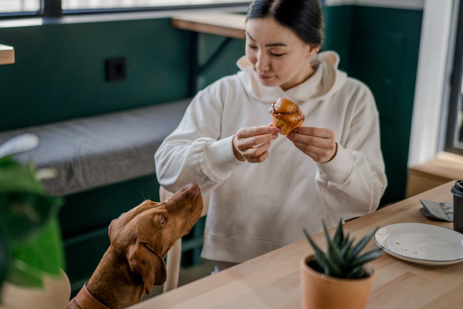 Local Pet CBD Treats for Dogs: What to Look For and Where to Find Them