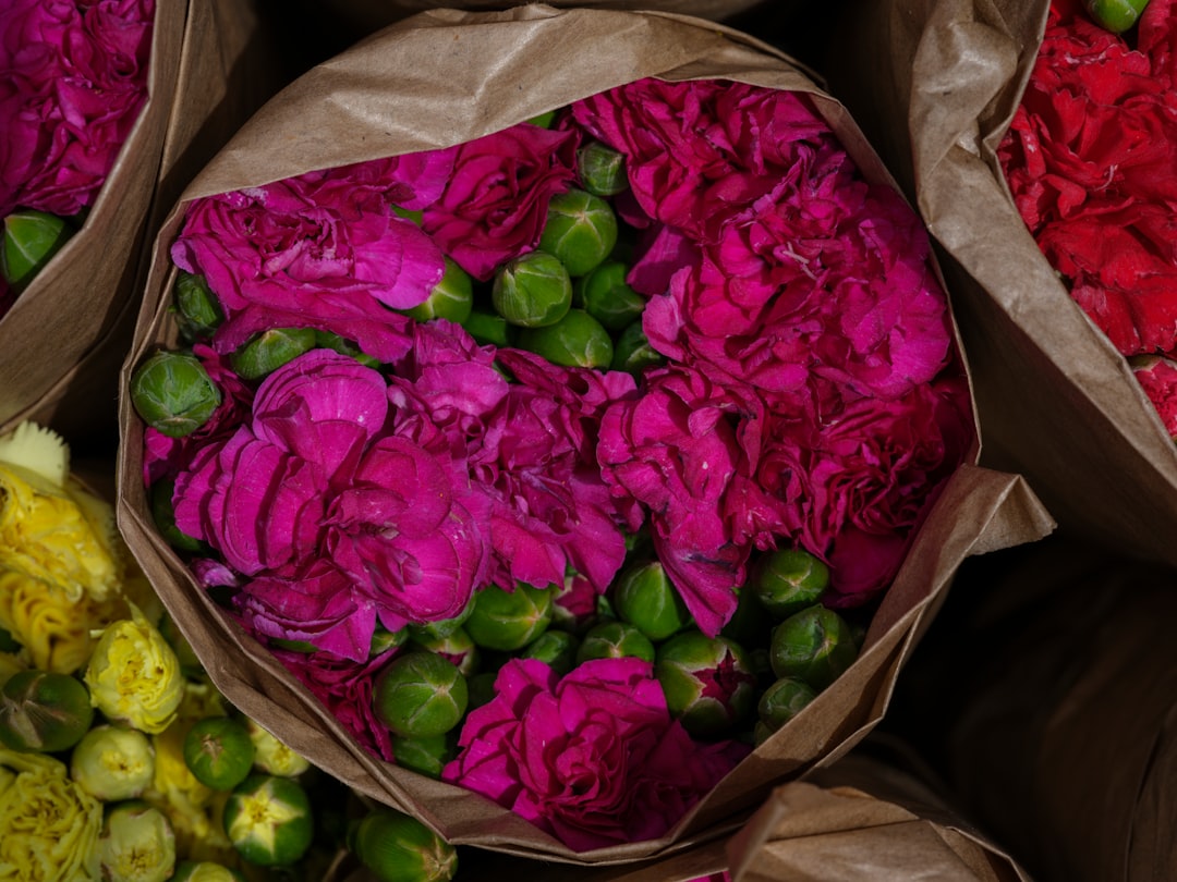 Go Big or Go Home: The Best Bulk THCa Flower Deals
