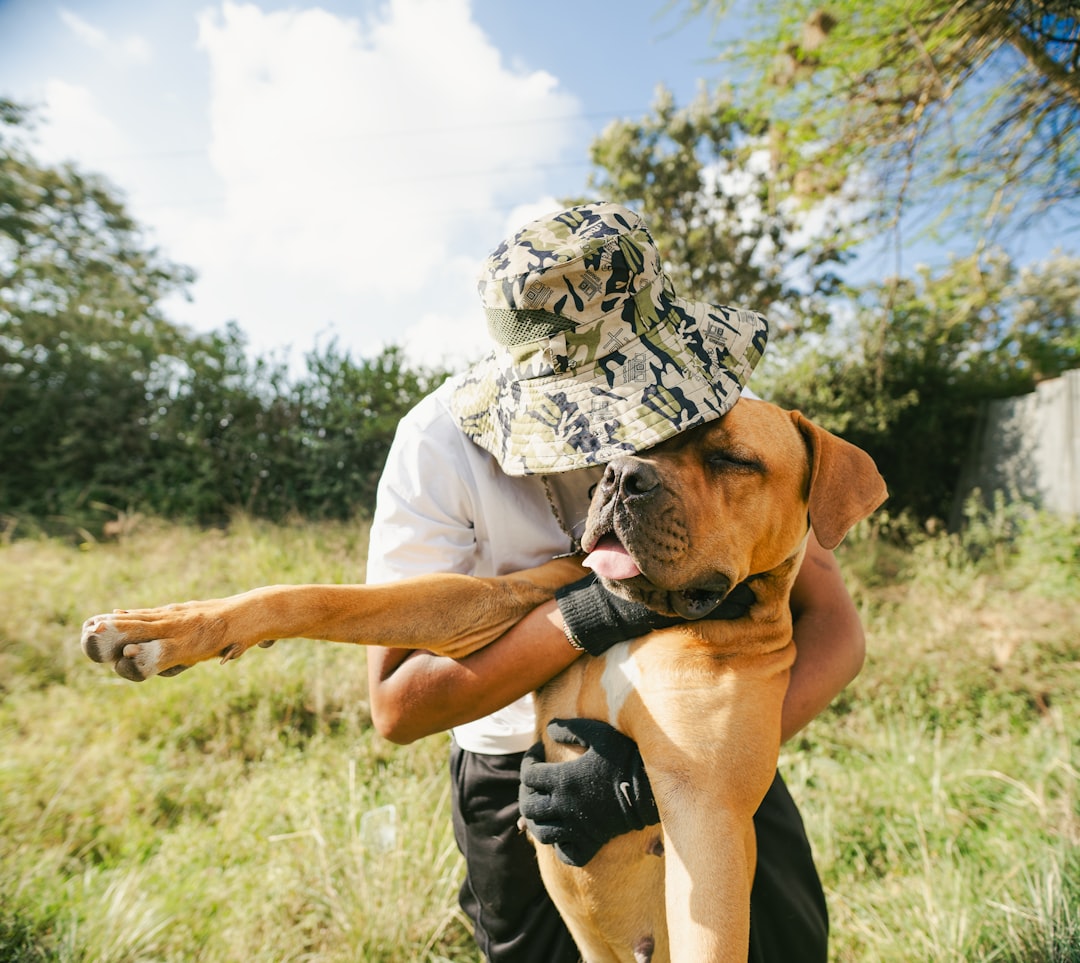 Canine CBD Explained: A Comprehensive Guide for Your Furry Friend's Health