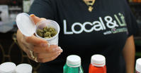 THCA Flower in Florida: What You Need to Know Before You Buy
