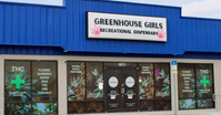Your Perfect Palm Harbor Weekend (Cannabis-Friendly)
