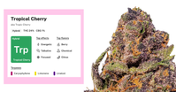 What Is THCA? A Simple Guide for First-Timers