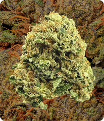 THCa Flower Shipped to You | Sativa, Indica & Hybrid Strains