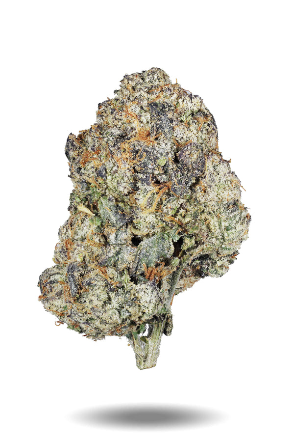 Indica Flower