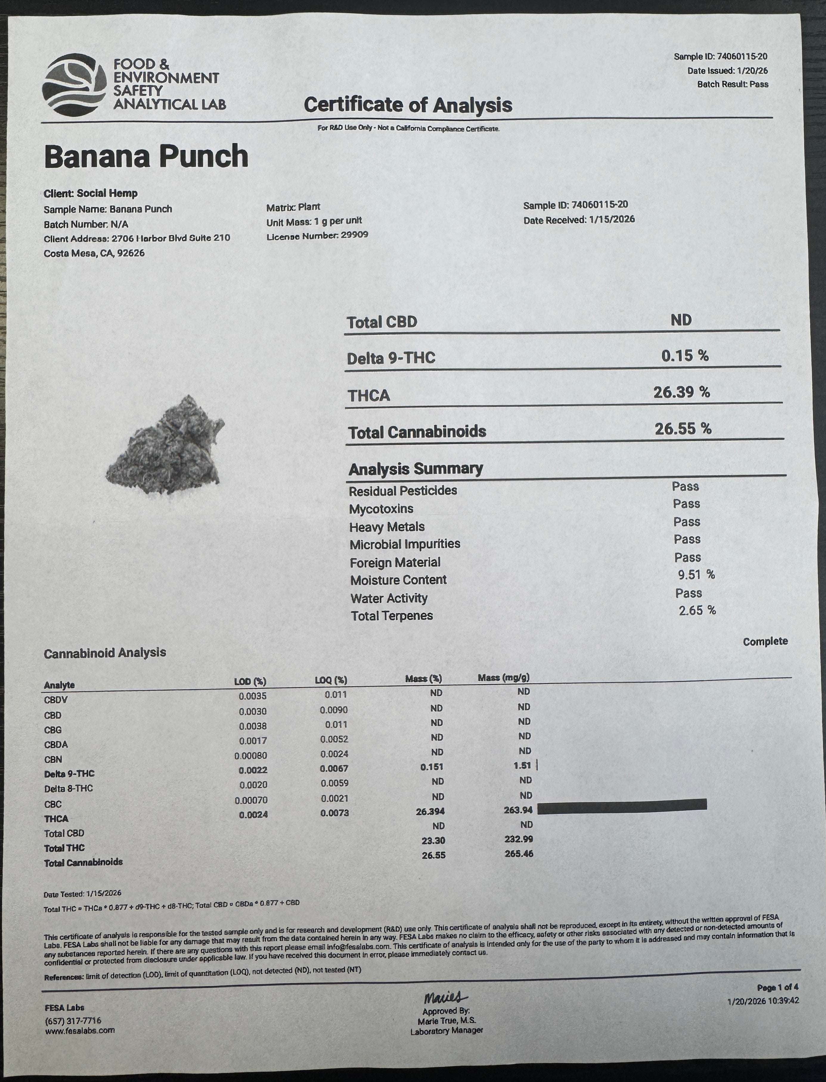 Banana Punch
