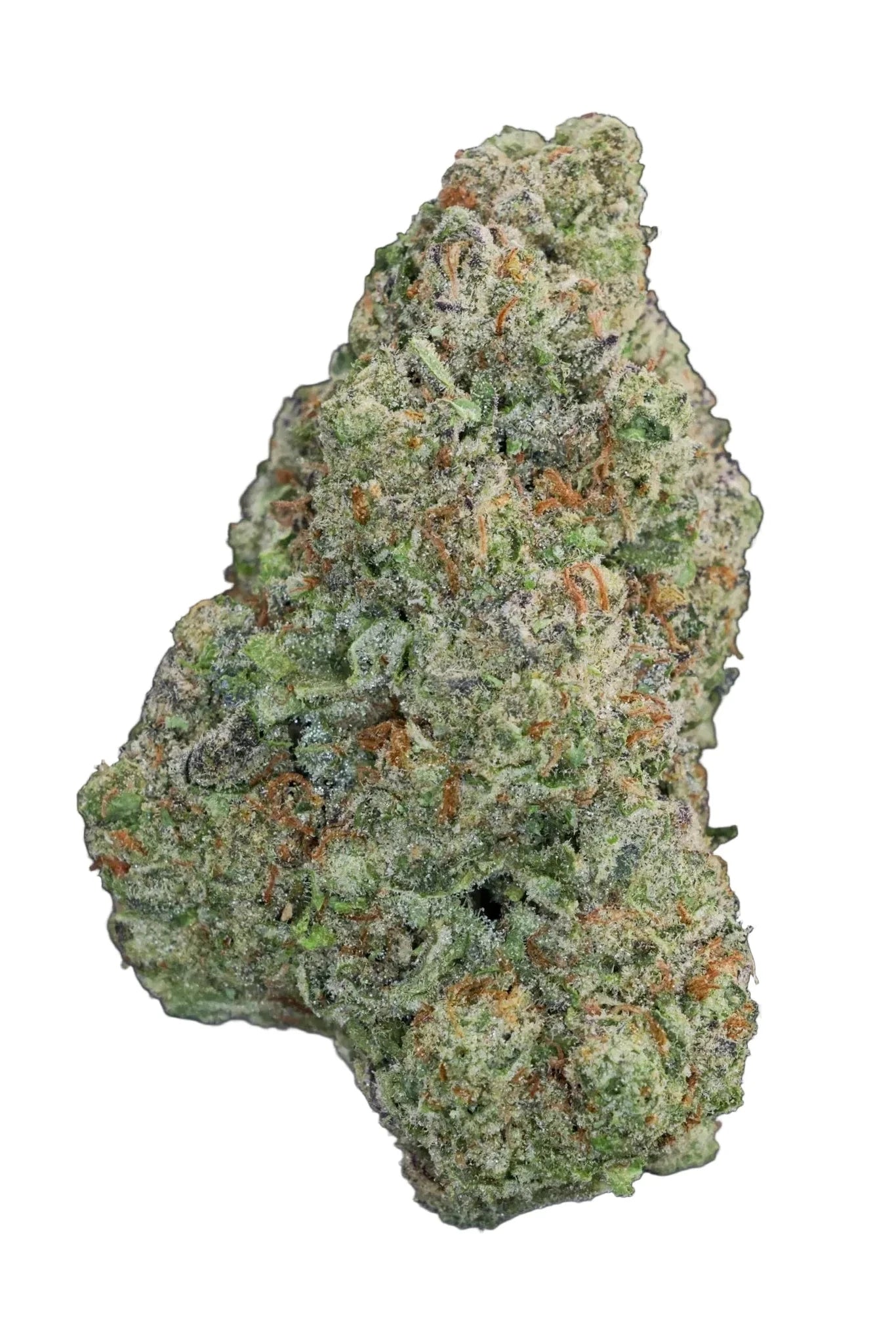 Close-up of a green cannabis bud on a dark background