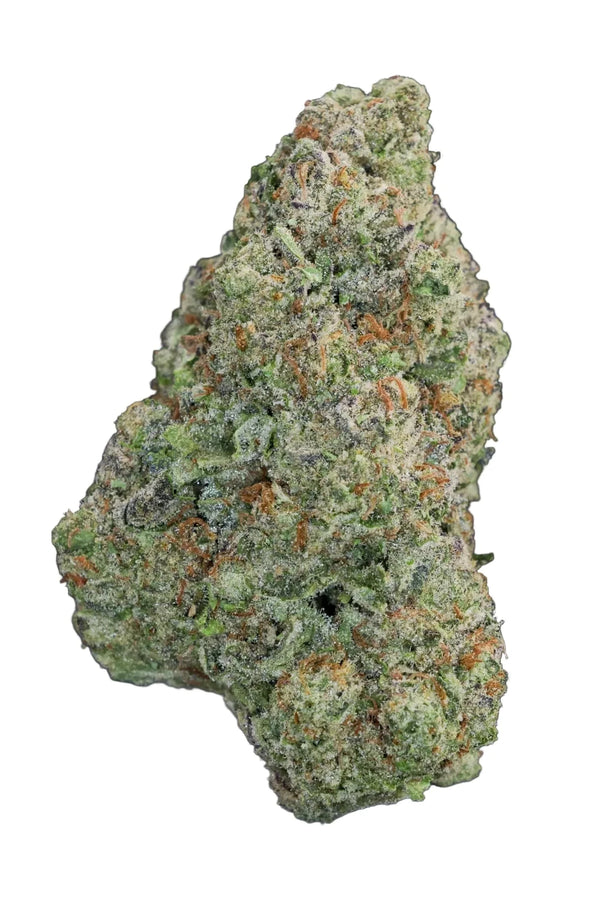 Close-up of a green cannabis bud on a dark background