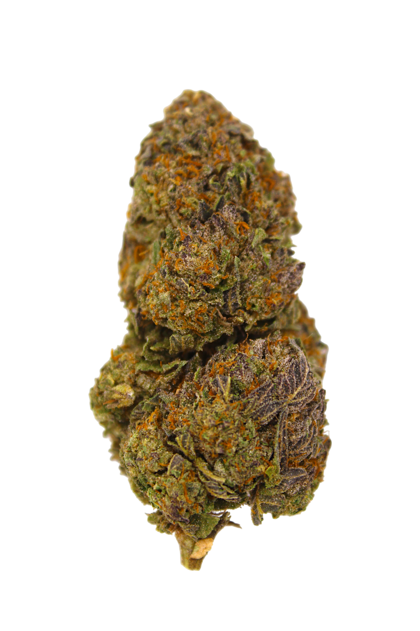 Close-up of a cannabis bud on a white background