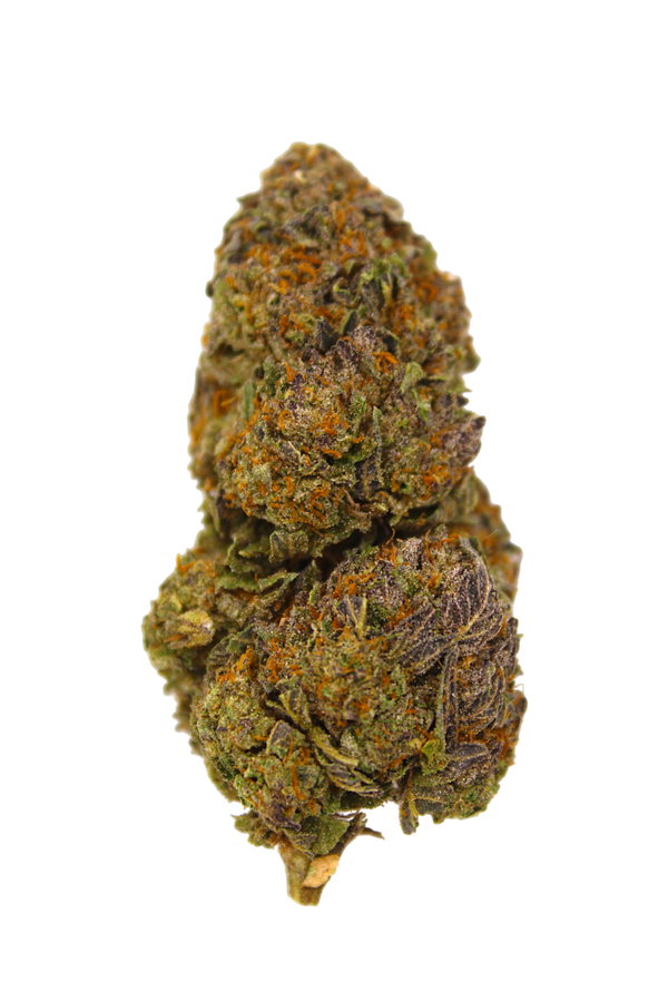 Close-up of a cannabis bud on a white background