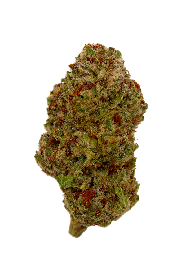 Close-up of a cannabis bud on a white background