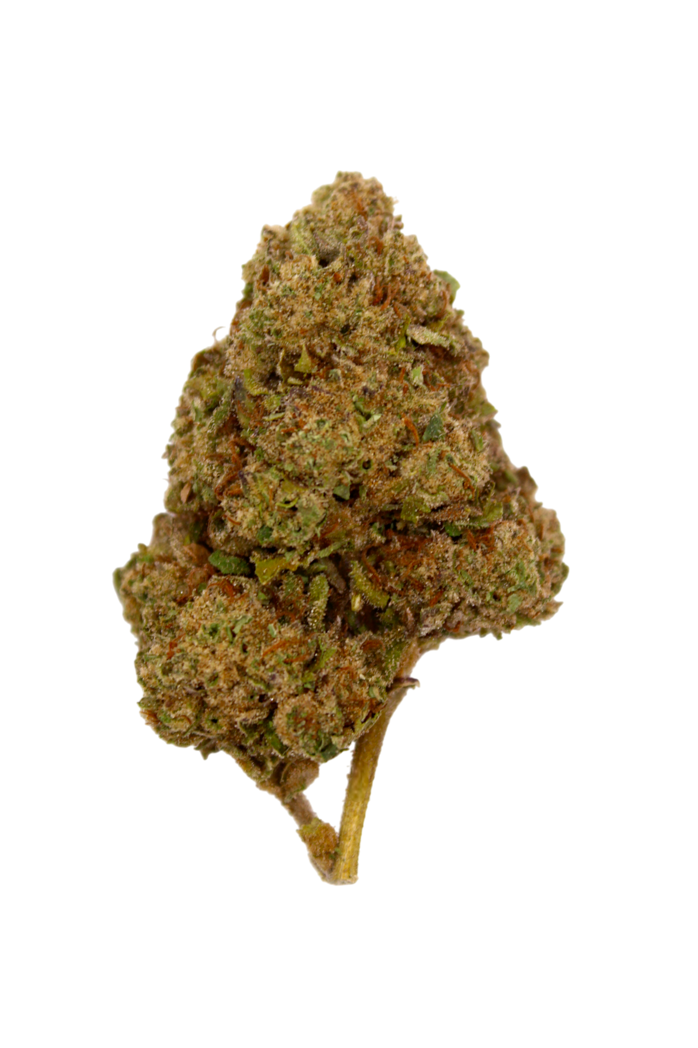 Close-up of a clump of cannabis on a white background