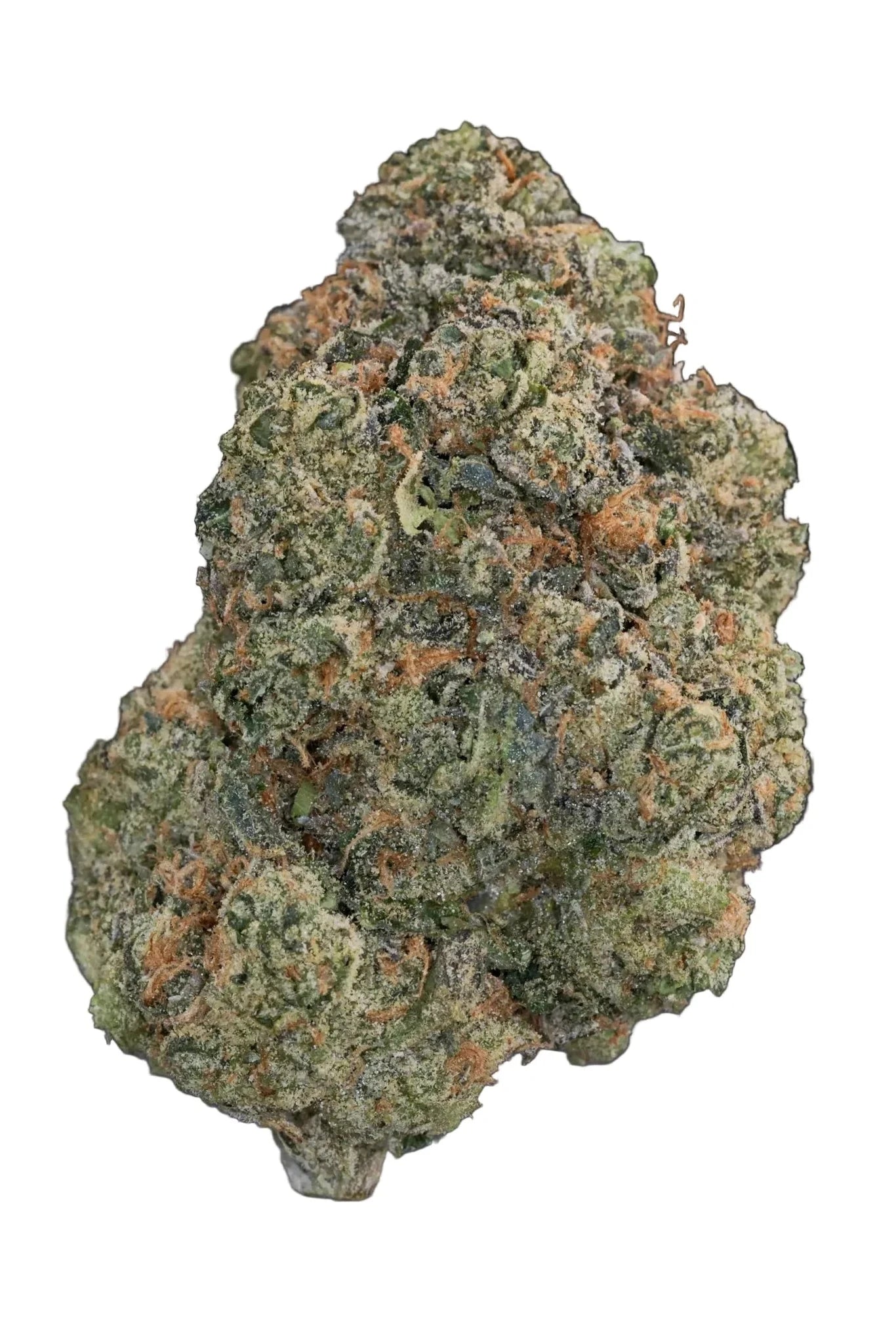 Close-up of a cannabis bud on a dark background