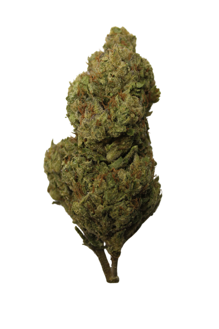 thca palm harbor
