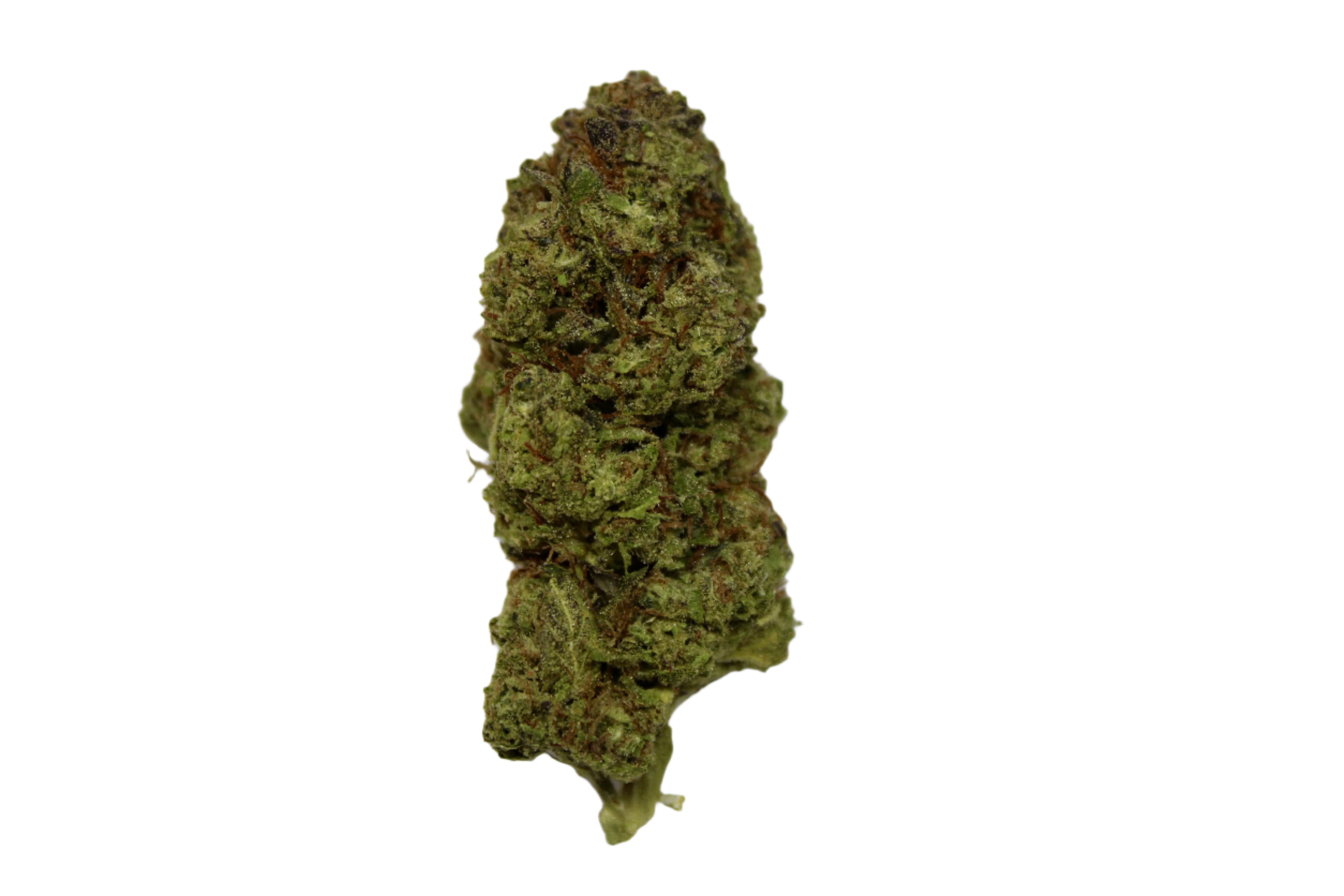 Sundae Driver Bud
