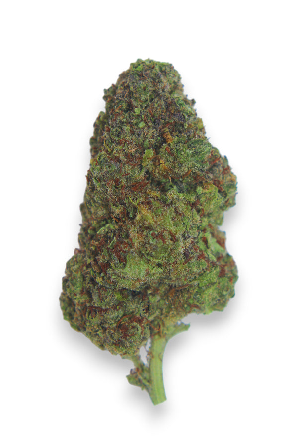 THCa flower on a white background