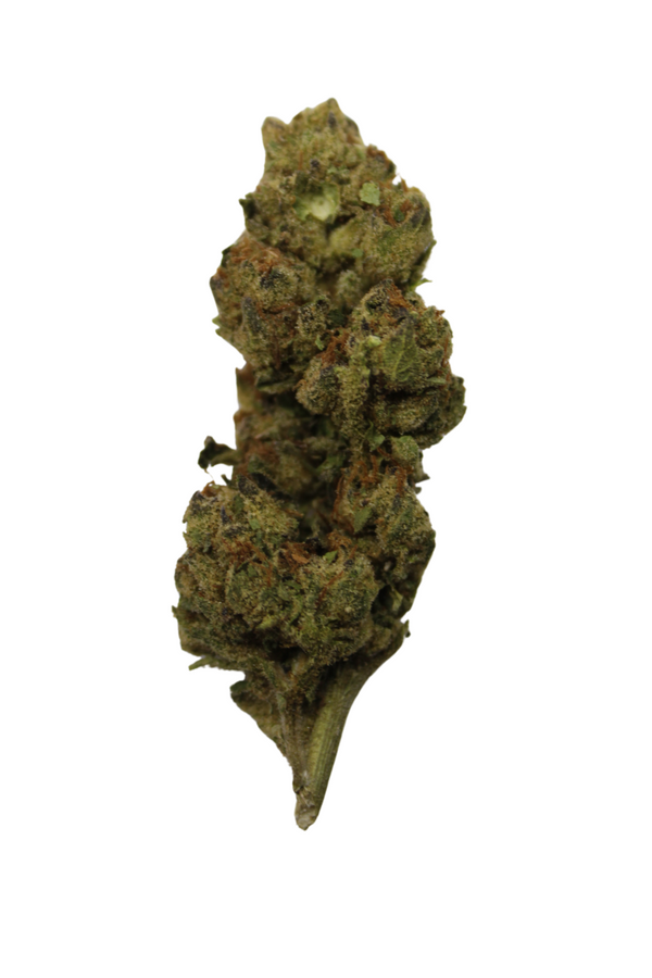 thca flower clearwater