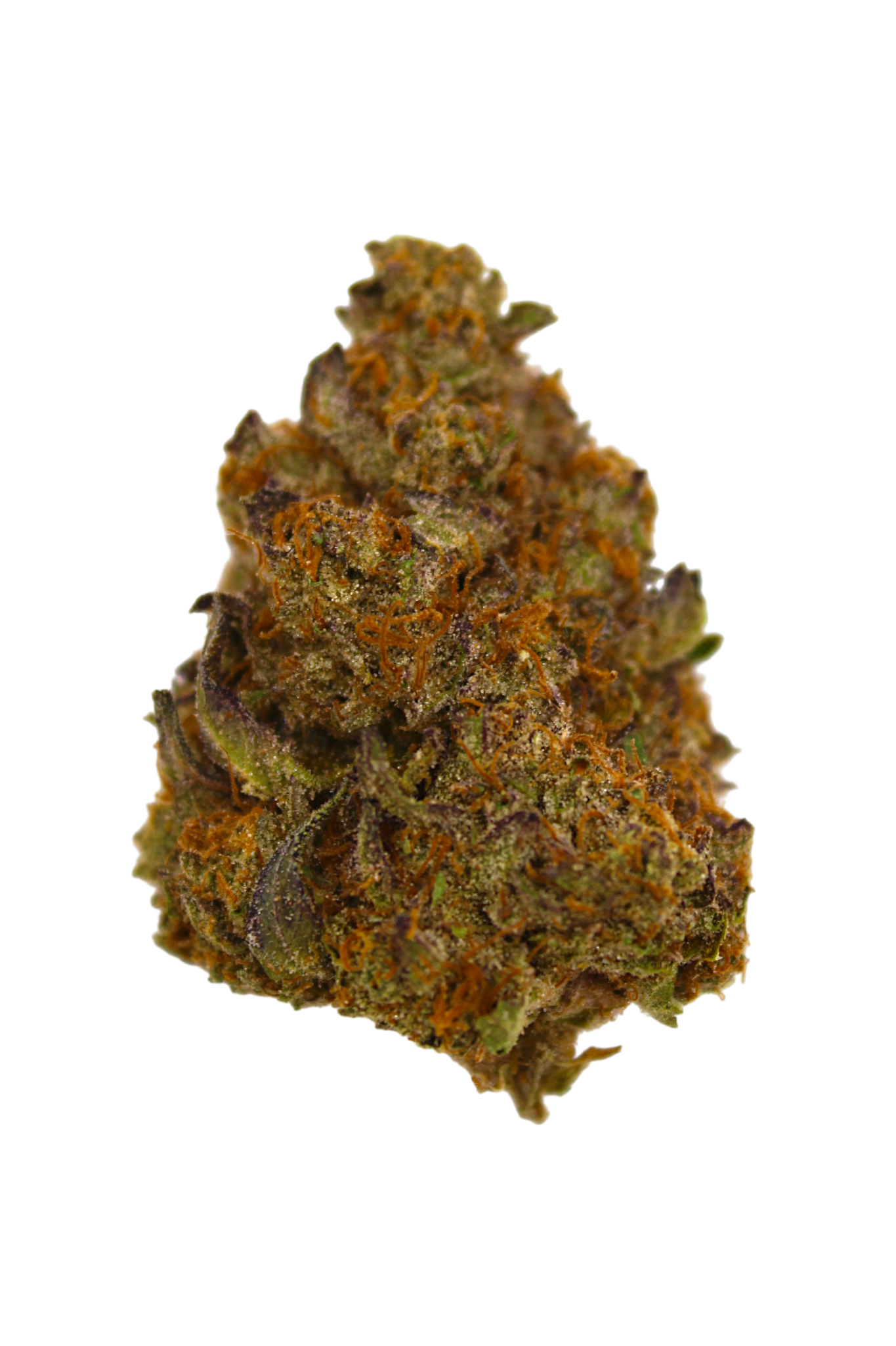 Close-up of a cannabis bud on a white background