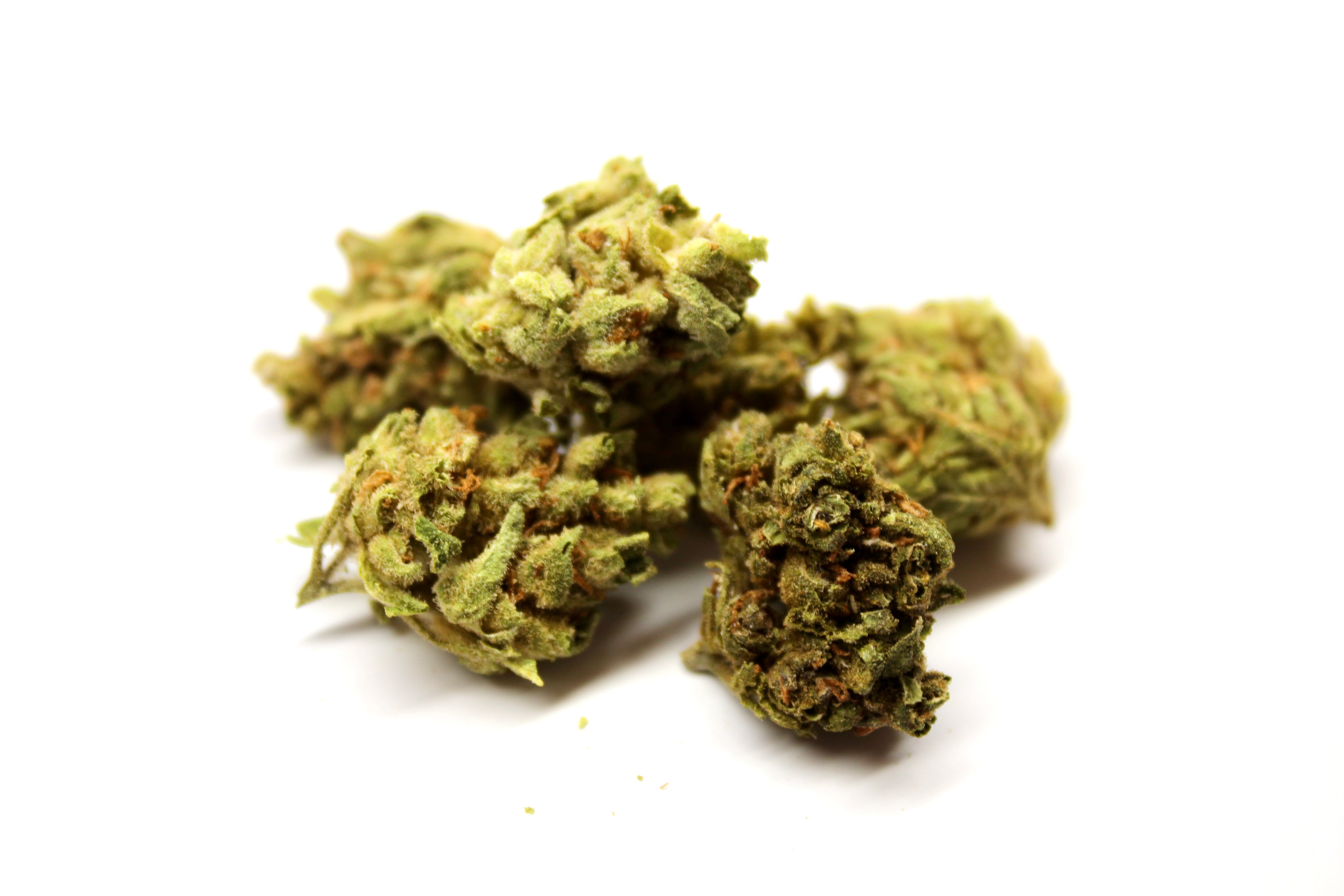 thca flower tarpon springs