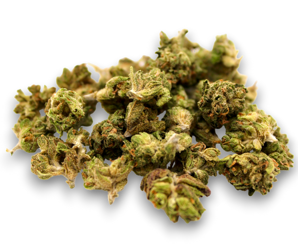Close-up of dried cannabis buds on a white background
