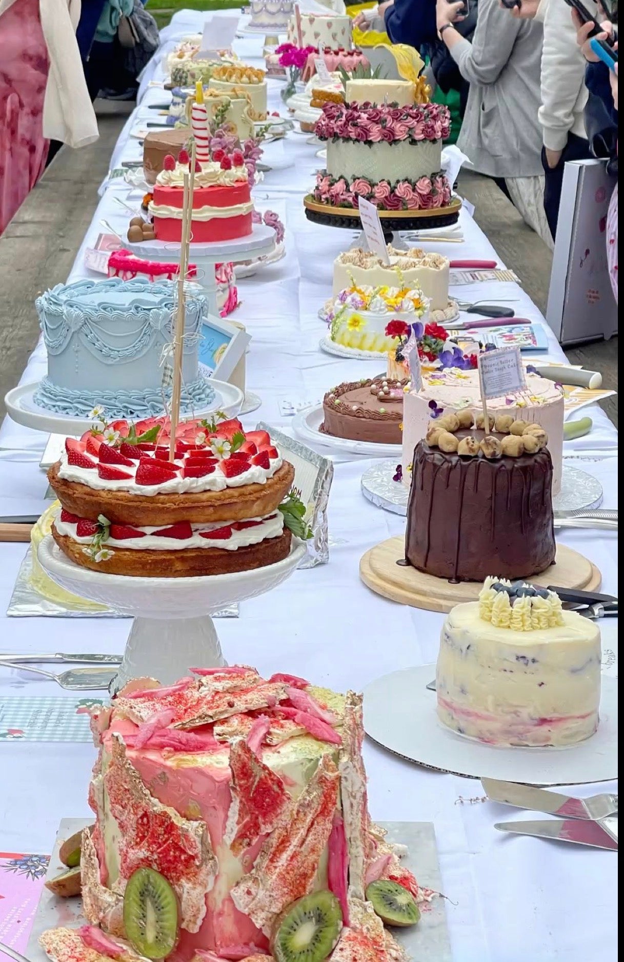 8/15/26 Cake Picnic- Tarpon Springs, Fl