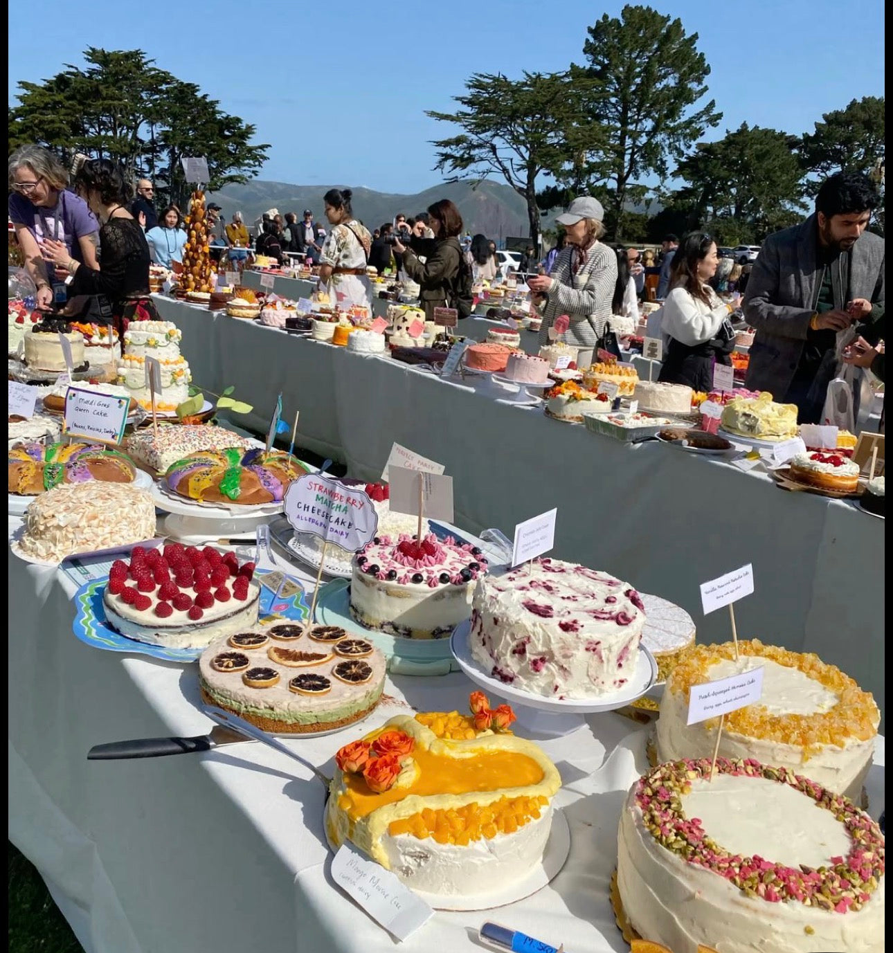 8/15/26 Cake Picnic- Tarpon Springs, Fl