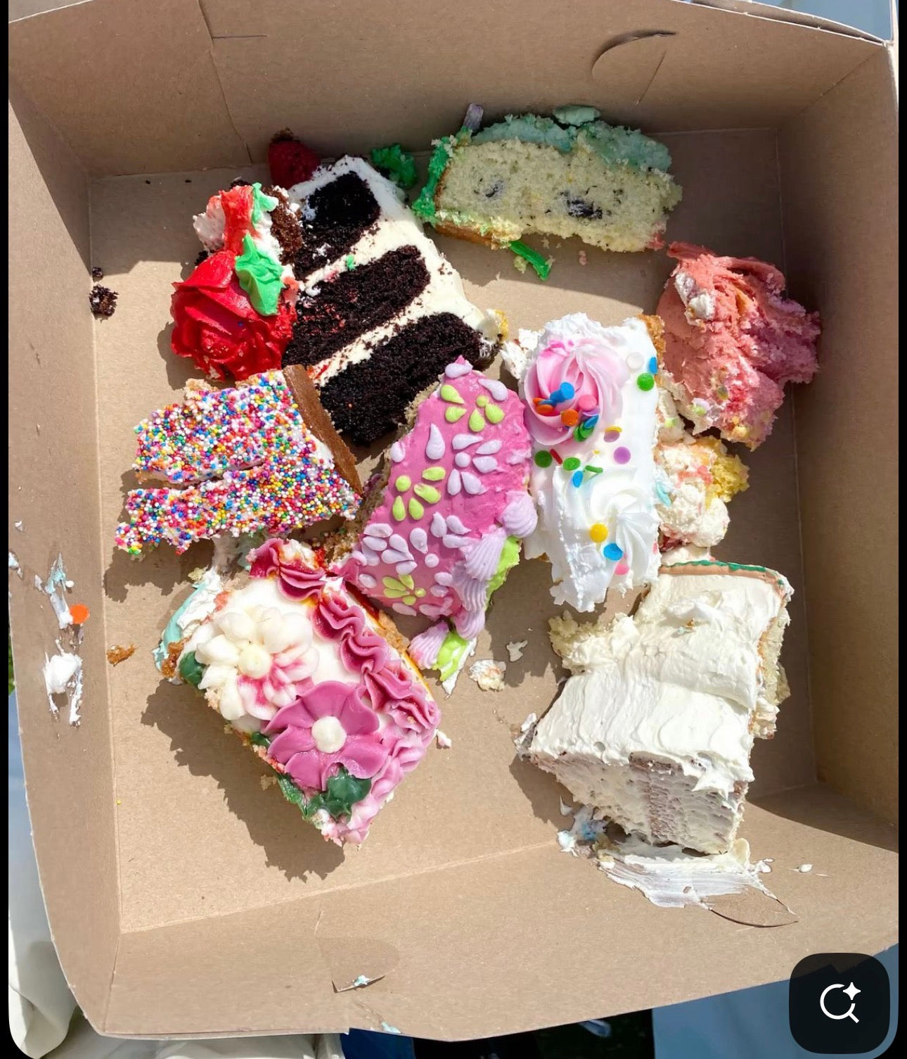 8/15/26 Cake Picnic- Tarpon Springs, Fl