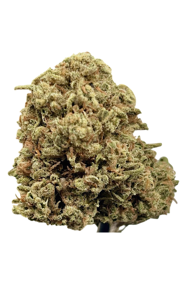 Close-up of a cannabis bud on a white background