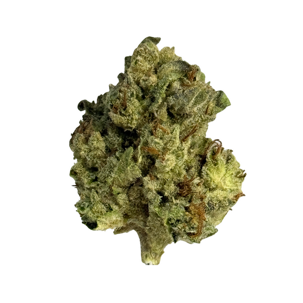 Thca nug with frosty tricombs by greenhouse girls 
