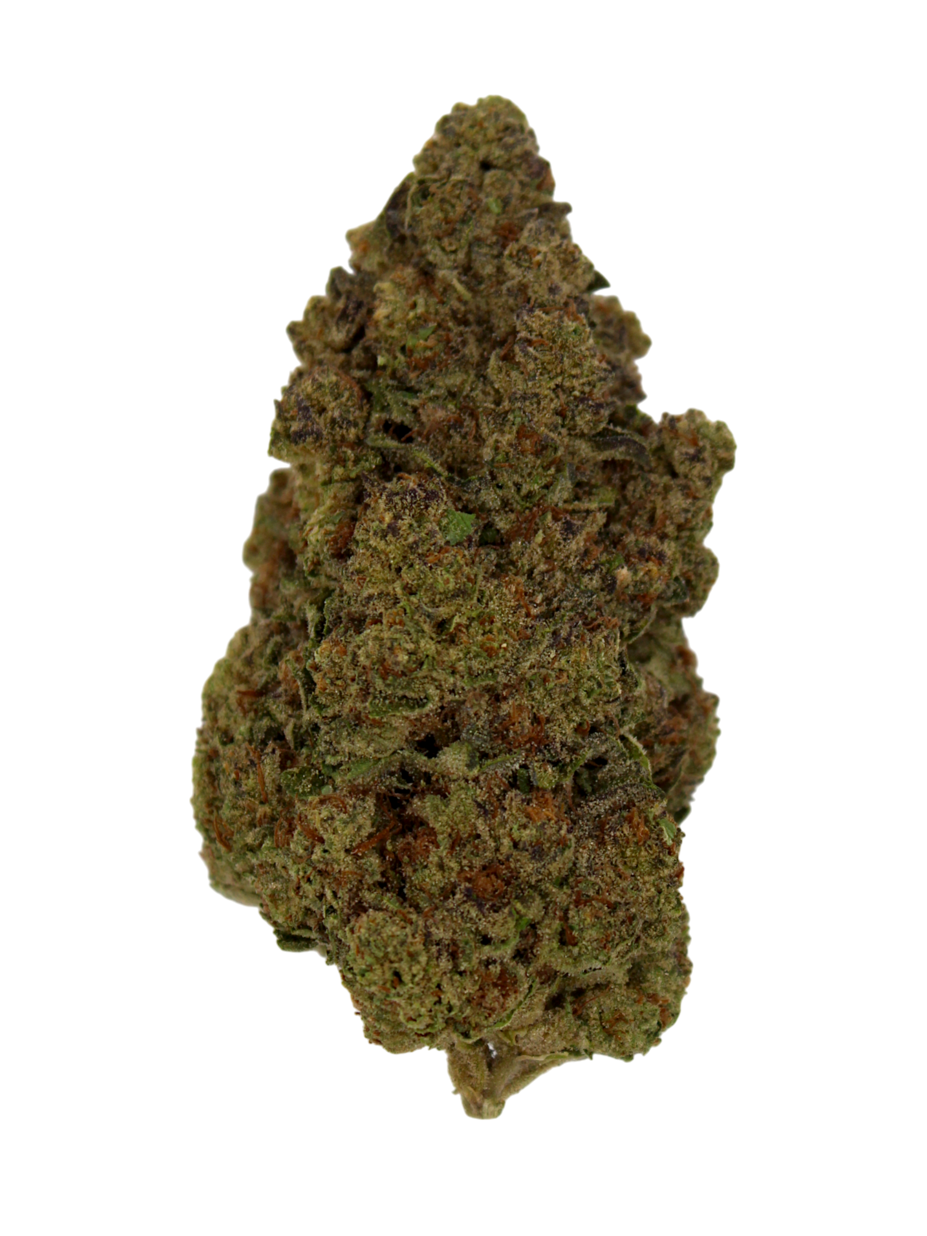 Obama Runtz THCa Flower Hybrid