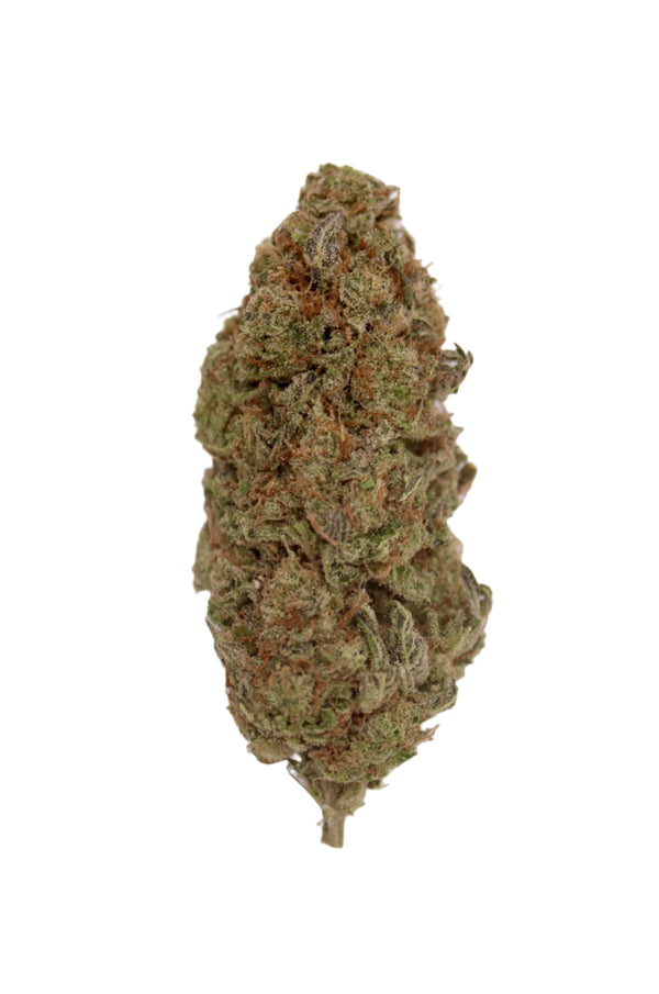 Green cannabis bud on a white background