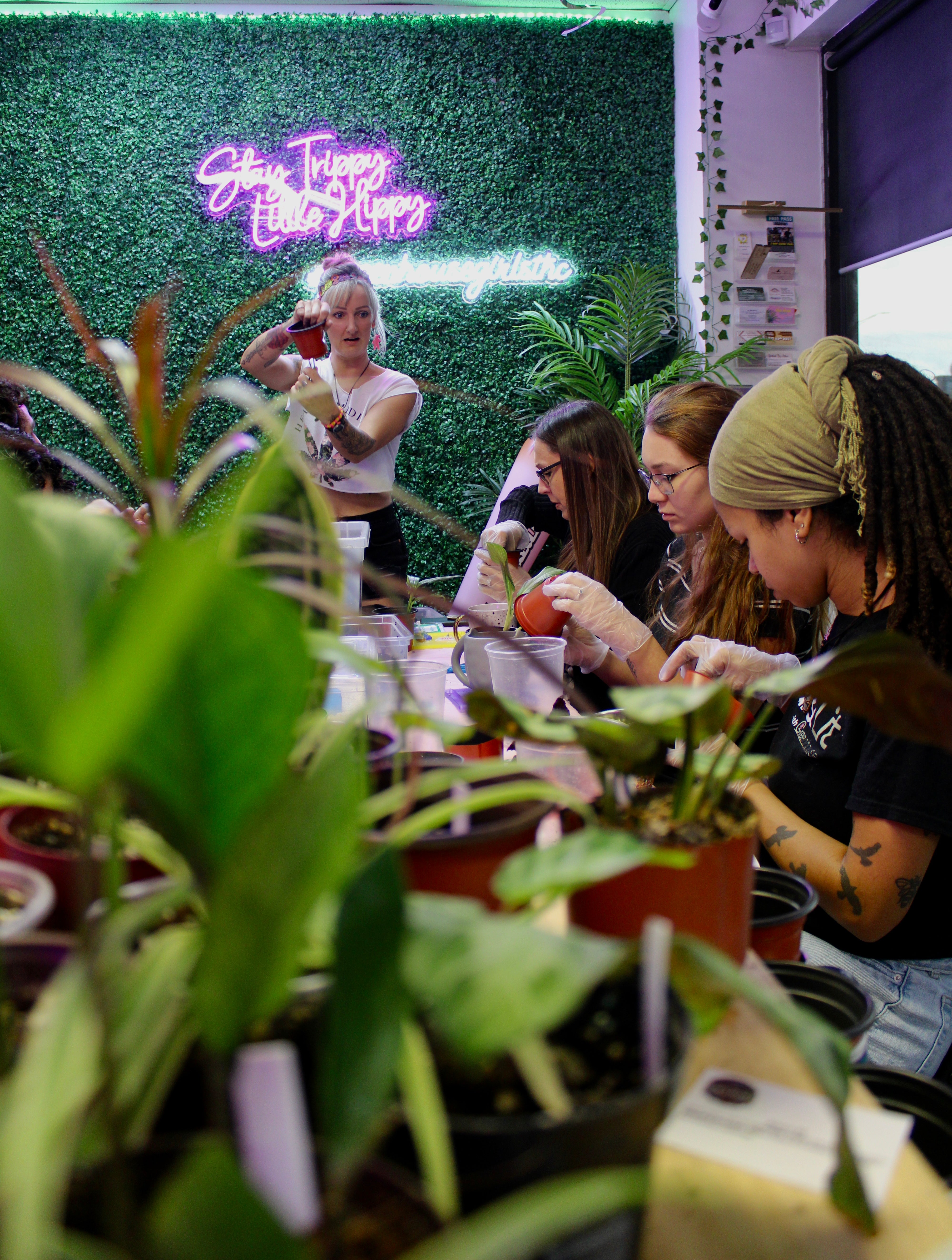 Pot & Plant Workshop – THC & Plants, Yes Please!