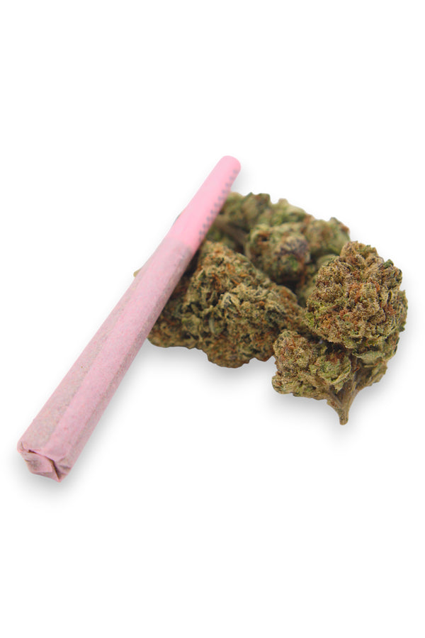 Pink rolling paper and cannabis buds on a white background