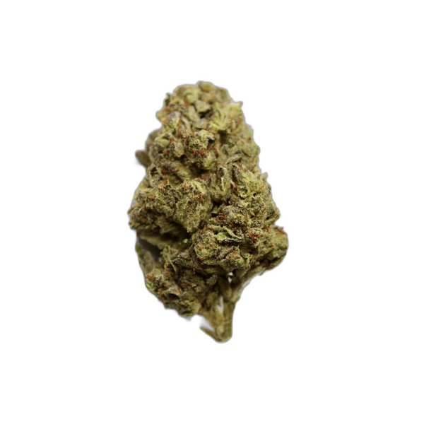 Purple Star Dawg - Greenhouse Girls