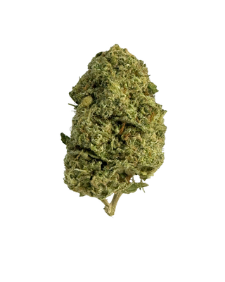 A single dried cannabis bud isolated on a solid white background, showing its natural green and tan coloration with fine trichome texture.