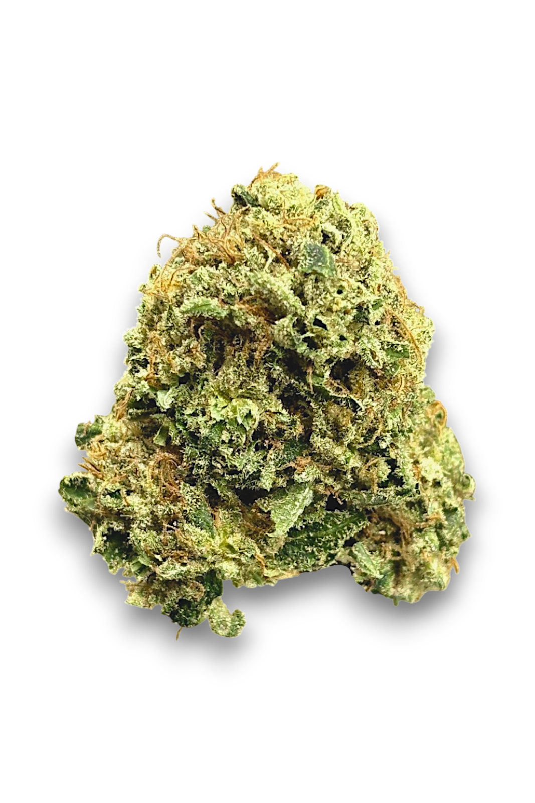 Close-up of a cannabis bud on a white background