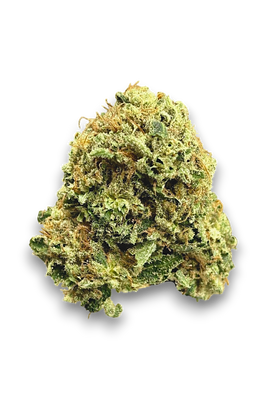 Close-up of a cannabis bud on a white background