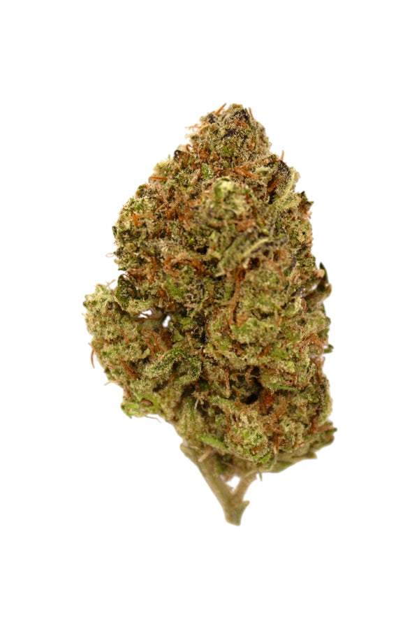 sour runtz thca flower on white background 