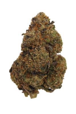 Close-up of a cannabis bud on a white background