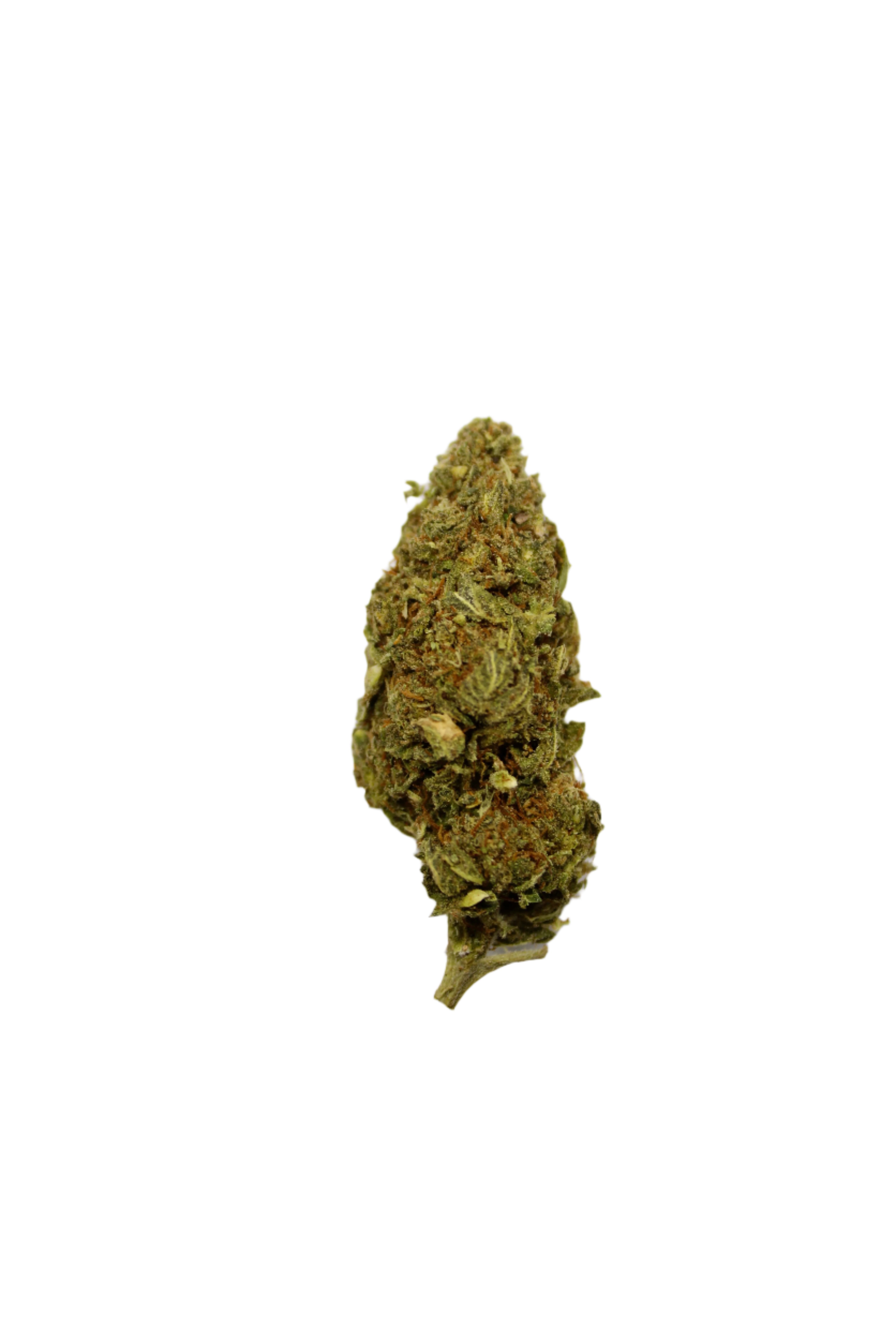 weed no med card