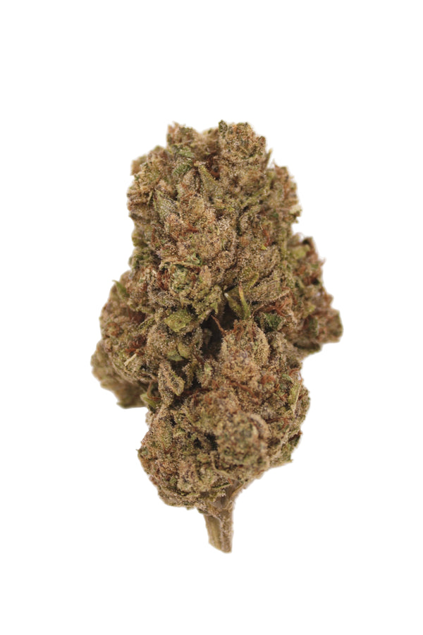 Tsunami THCa Flower on white background