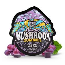 Tre House Mushroom Gummies