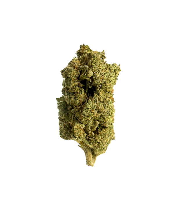 White Russian | Sativa Hybrid THCa Flower