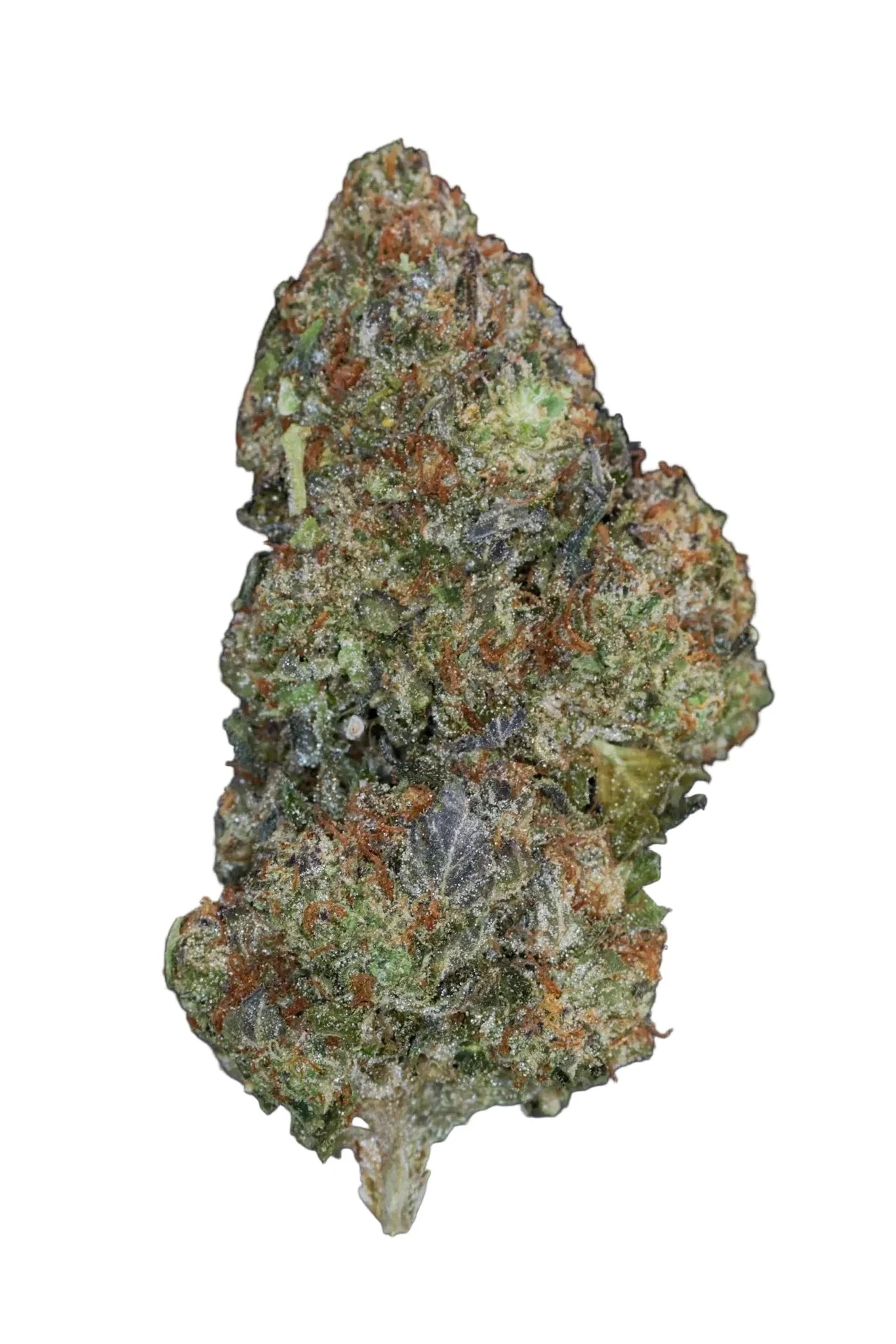 Close-up of a cannabis bud on a dark background