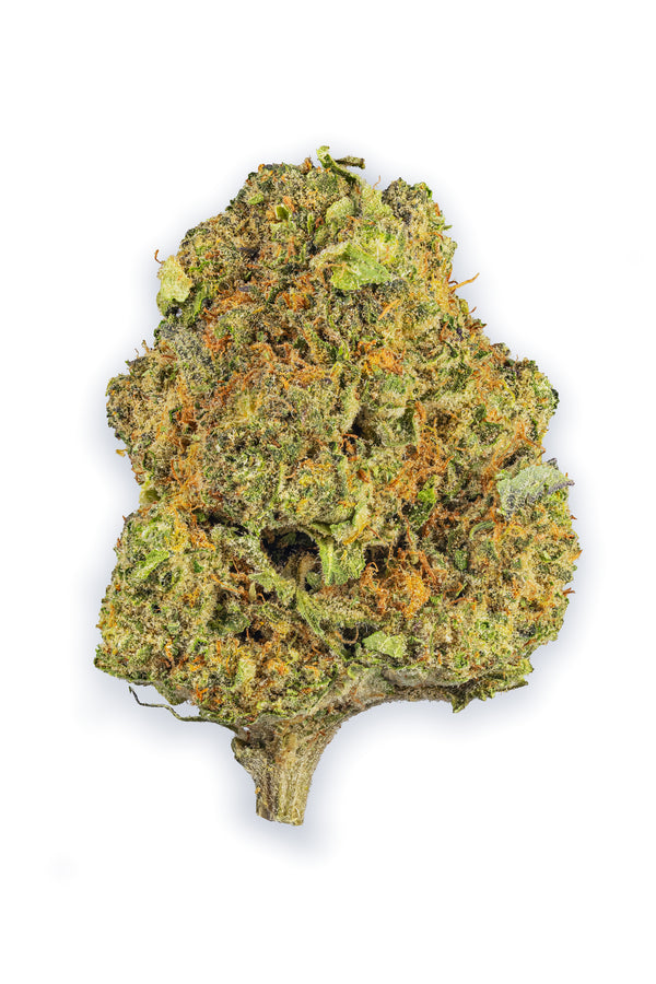 Close-up of a cannabis bud on a white background